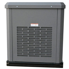 Генератор газовый EVOline GNG 19000 E